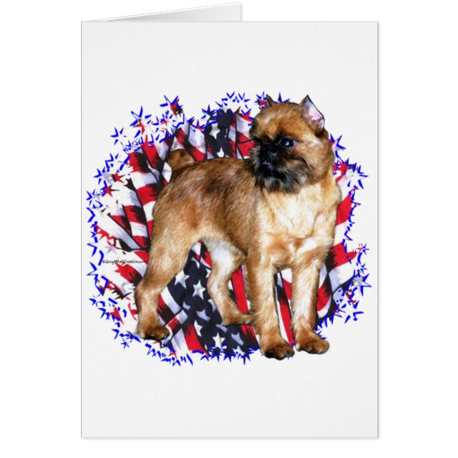 Brussels Griffon Patriot (Voorkant)