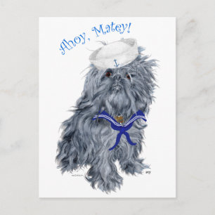 Brussels Griffon Sailor Briefkaart