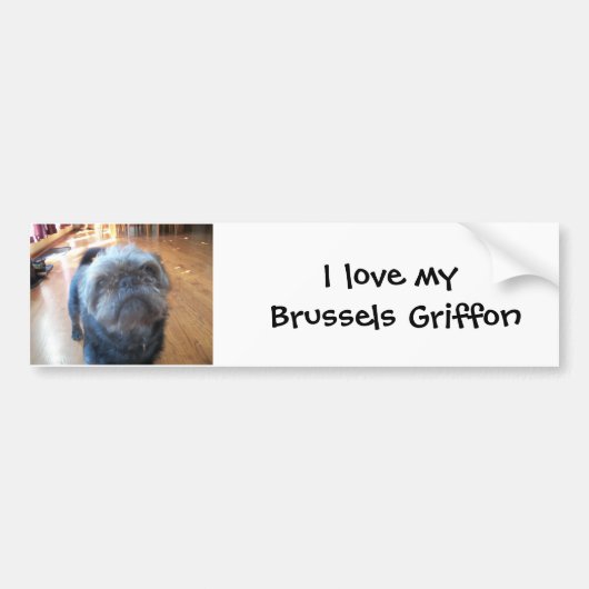 Brusselse Griffon Bumpersticker (Voorkant)