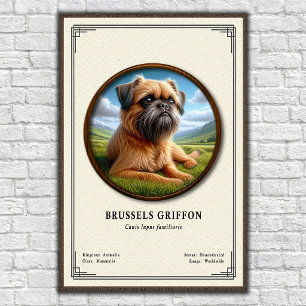 Brusselse Griffon Zoologie Serie Poster