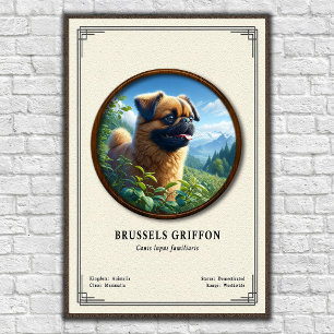 Brusselse Griffon Zoologie Serie Poster
