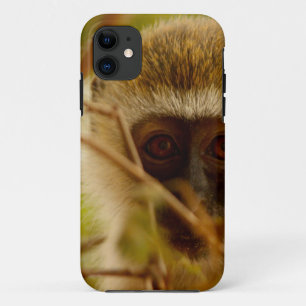 Brutaal Aapje. iPhone 11 Hoesje