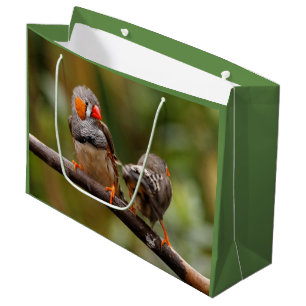 Brutale zebravinken zangvogels op tak large cadeautasje