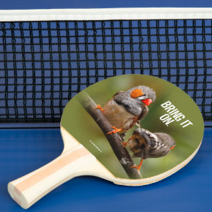 Brutale zebravinken zangvogels op tak tafeltennisbatje