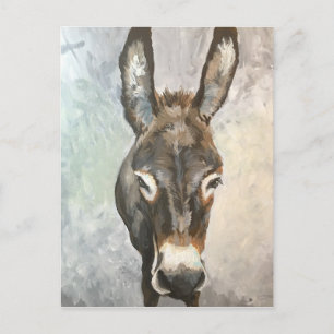 Brutus Miniature Donkey Post Card Briefkaart