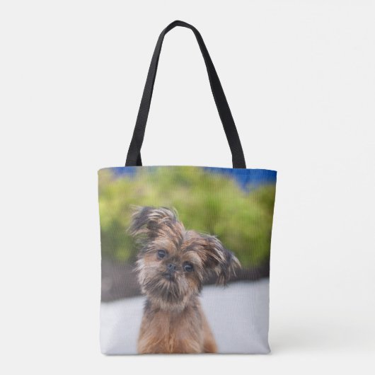 Bruxelles Griffon Cute Chien Chien Chien Sac fourr (Dos)