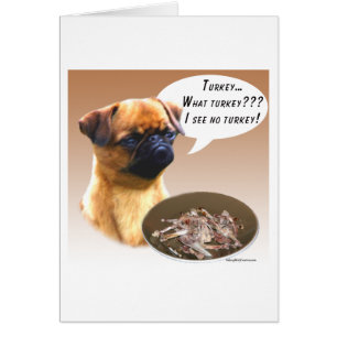 Bruxelles Griffon Turquie