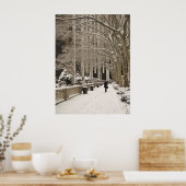 Bryant Park Snow Poster (Keuken)