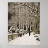 Bryant Park Snow Poster (Voorkant)