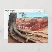 Bryce Canyon Briefkaart (Voorkant / Achterkant)