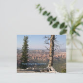 Bryce Canyon Briefkaart (Staand voorkant)