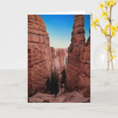 Bryce Canyon, carte Utah (Fleur jaune)