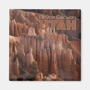 Bryce Canyon Foto Utah Souvenir Koelkast Magneten