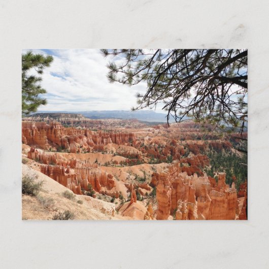 Bryce Canyon National Park Hoodos Briefkaart (Voorkant)