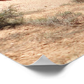 Bryce Canyon National Park Hoodos Poster (Hoek)