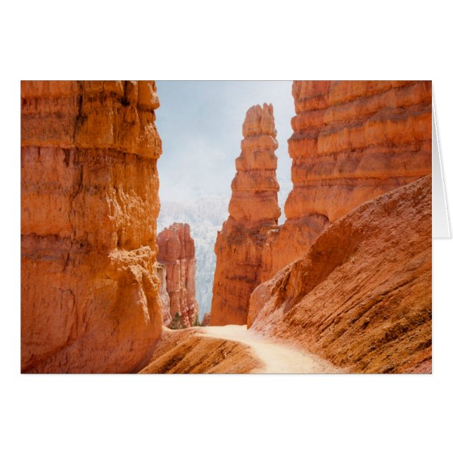 Bryce Canyon National Park Trail (Voorkant Horizontaal)