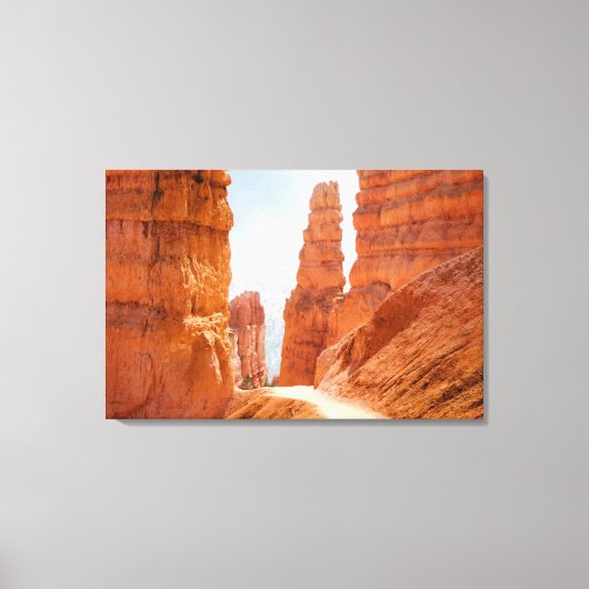 Bryce Canyon National Park Trail Canvas Afdruk (Voorkant)