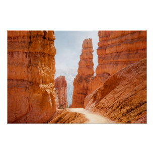 Bryce Canyon National Park Trail Perfect Poster