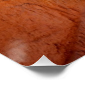 Bryce Canyon National Park Trail Perfect Poster (Hoek)