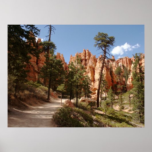 Bryce Canyon National Park Trail Poster (Voorkant)