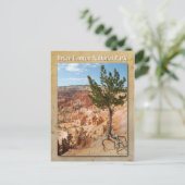 Bryce Canyon National Park, Utah Briefkaart (Staand voorkant)
