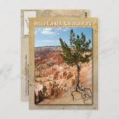 Bryce Canyon National Park, Utah Briefkaart (Voorkant / Achterkant)