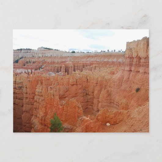 Bryce Canyon National Park, Utah, Carte postale (Devant)