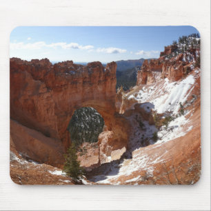 Bryce Canyon Natural Bridge Snowy Landscape Foto Muismat