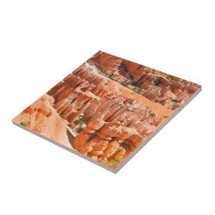 Bryce Canyon Park Utah Landschap Hoodoos Foto Tegeltje