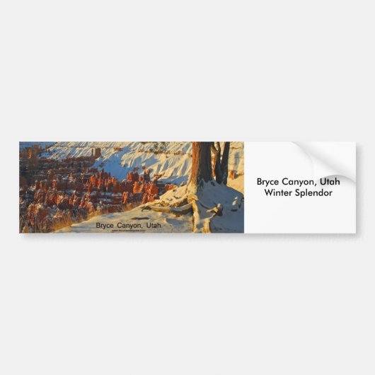 Bryce Canyon, Utah Bumpersticker (Voorkant)