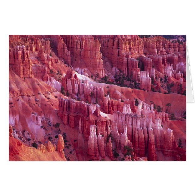 Bryce Canyon, Utah, VS (Voorkant Horizontaal)