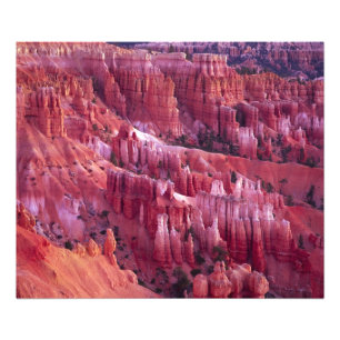 Bryce Canyon, Utah, VS Foto Afdruk