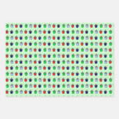 Bryn Mawr Lantern Inpakpapier Vel (Voorkant)