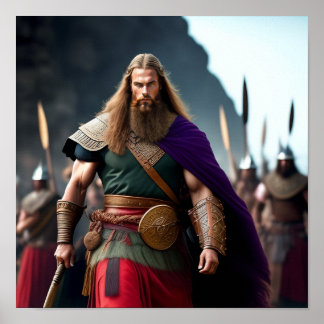 Brynjar de Viking Poster