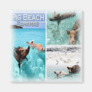BS0018 Amerika, Bahama's, Koelkast Magneet
