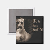 BSL est un aimant carré BS pur (Recto/Verso)