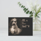 BSL est une carte postale BS (Debout devant)