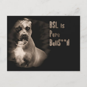 BSL est une carte postale BS