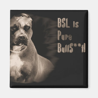 BSL is pure BS vierkante magneet