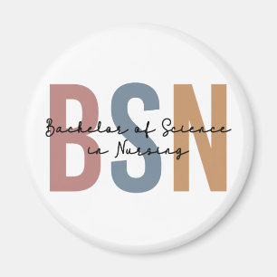 BSN Bachelor of Science in Nursing Afstuderen Magneet
