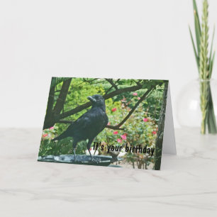 BT- Funy Crow Verjaardag Kaart