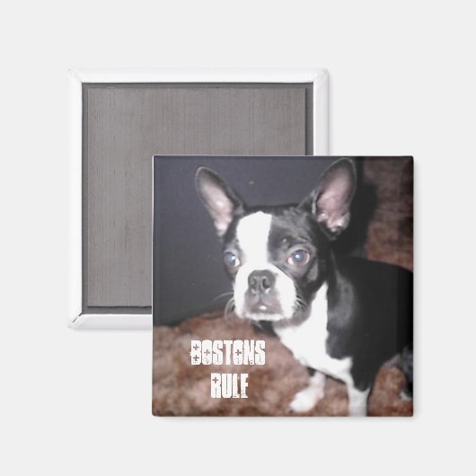 BT Magneet (Voorkant / Achterkant)