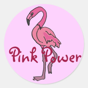 BT- Roze Flamingo Sickers Ronde Sticker