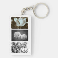 Btexpress Natuur Fotografie Ondersteunend Sleutelh