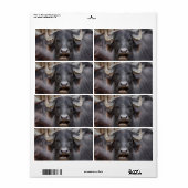 Bubalus bubalis etiket (Full Sheet)