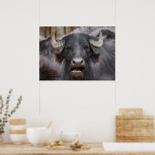 Bubalus bubalis poster (Keuken)