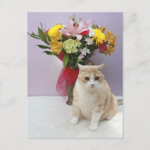 Bubba door bloemen briefkaart