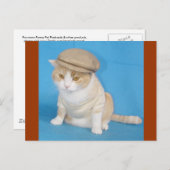 Bubba-Kat Briefkaart (Voorkant / Achterkant)