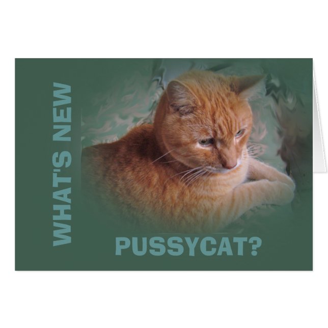 Bubba l'Orange Tabby Tomcat (Devant horizontal)