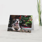 Bubba prettige feestdagen (plural:) (Voorkant)